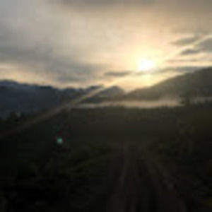 Meet your Posher, Dalila